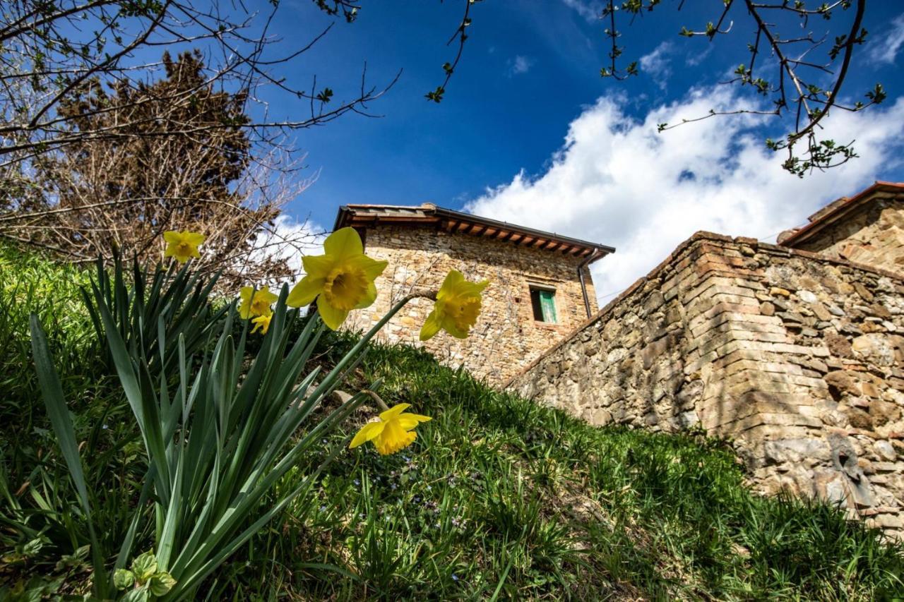 Campora House Hotell Tavarnelle Val di Pesa Exteriör bild
