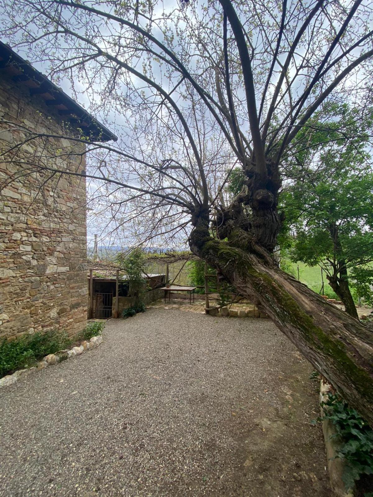 Campora House Hotell Tavarnelle Val di Pesa Exteriör bild